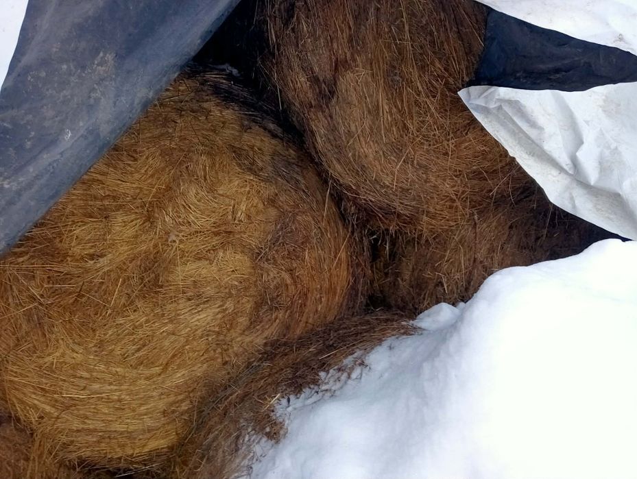 Baloți de fan de vânzare