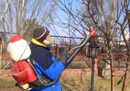 Орыскивание обработка деревьев