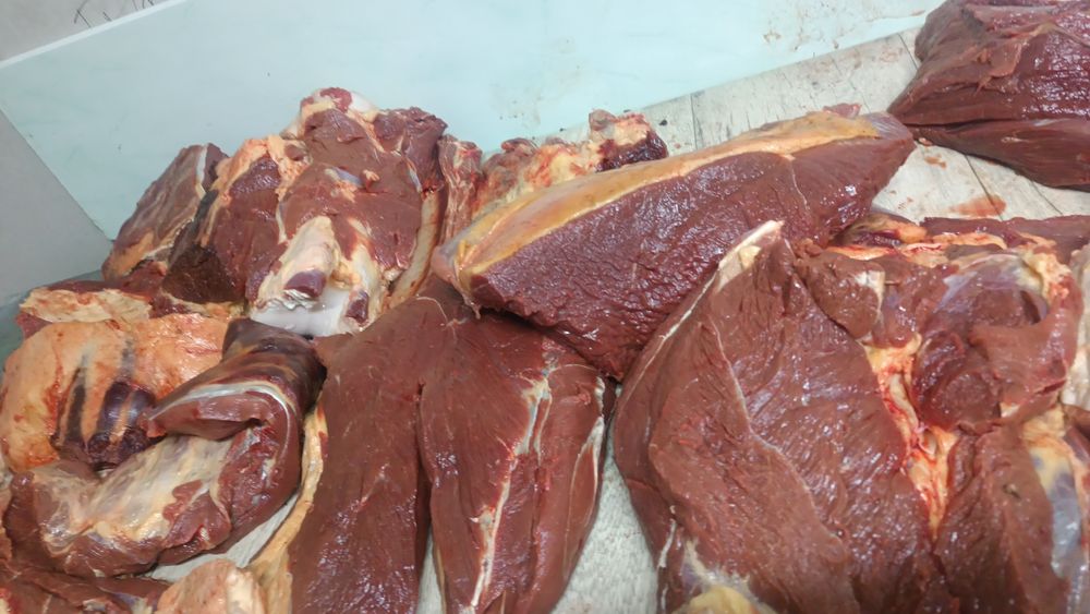 конины даставка бесплатно