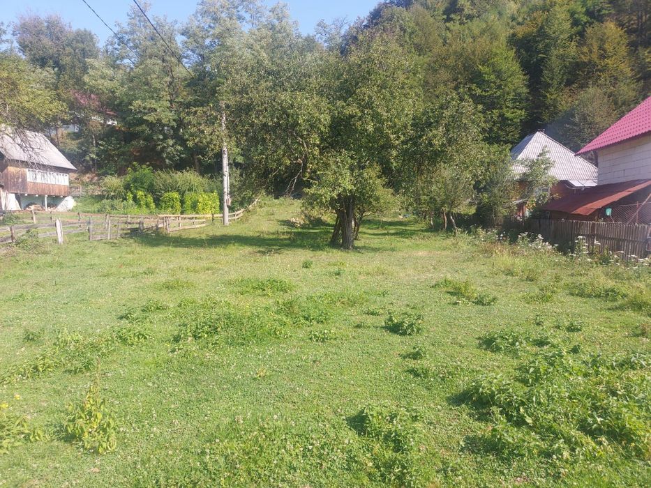 Teren Avram Iancu Jud Alba