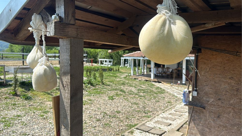 Locuri de cazare , campare , pensiune cai centru echitatie