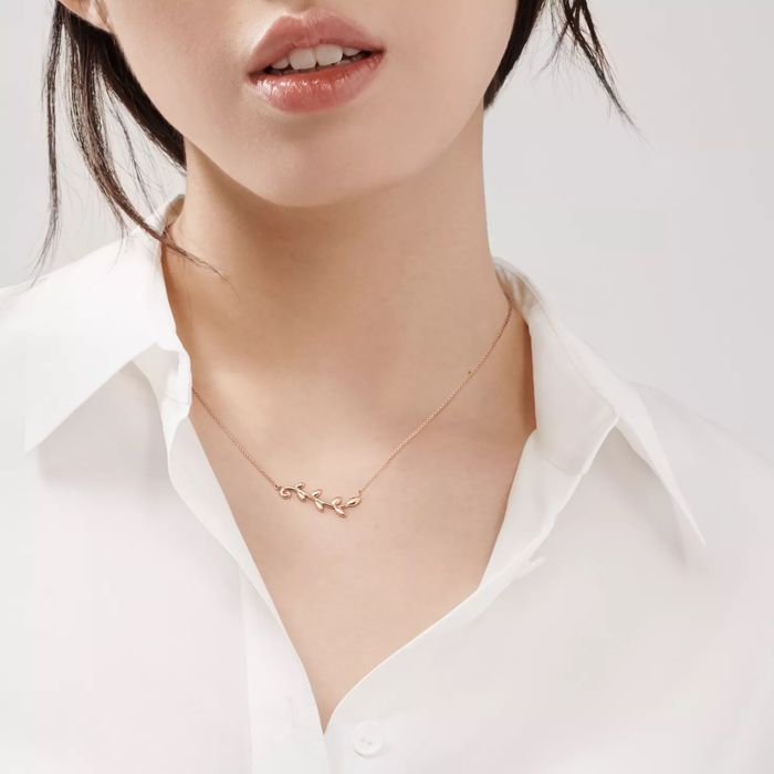 Колье Tiffany&Co Paloma Picasso
