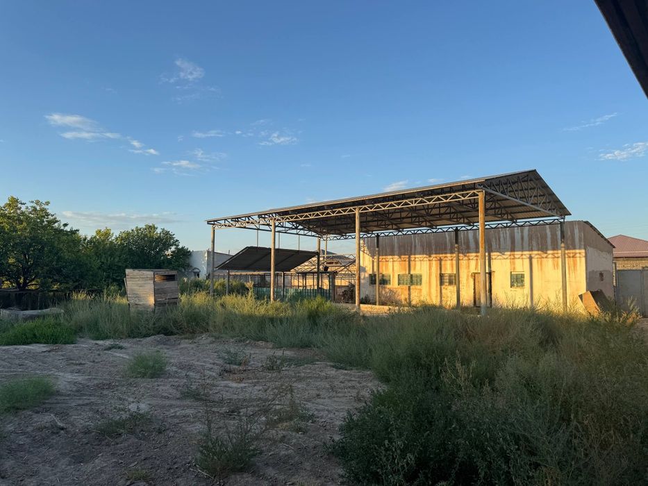 20 sotuk jer satiladi,katej quriwga zor variant.