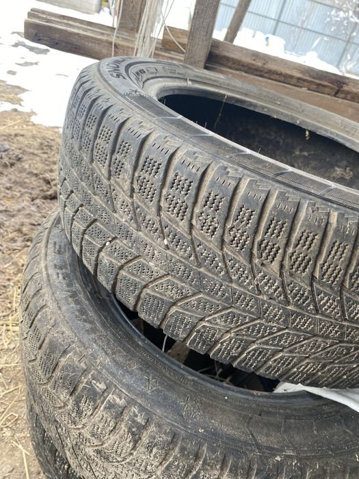 205/55/16 3 штуки