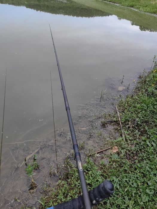 Carp match Mitchel premium
