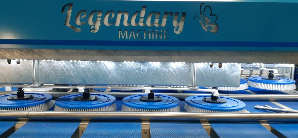 Masina de spalat covoare Legendary Chemistry