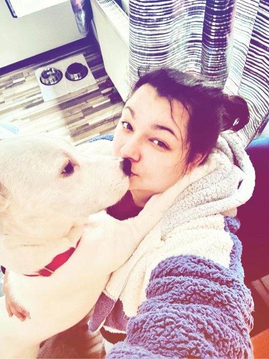 Pet sitter cu experienta  Bucuresti