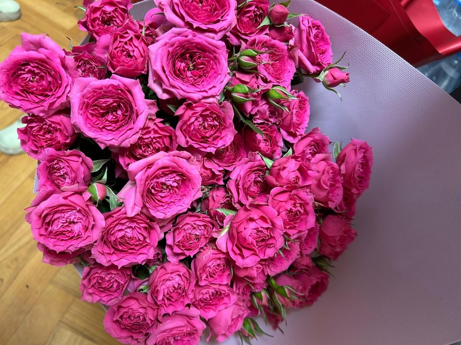 Продаю цветы красивые