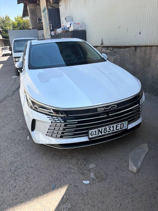 BYD Chazor srocno sotiladi