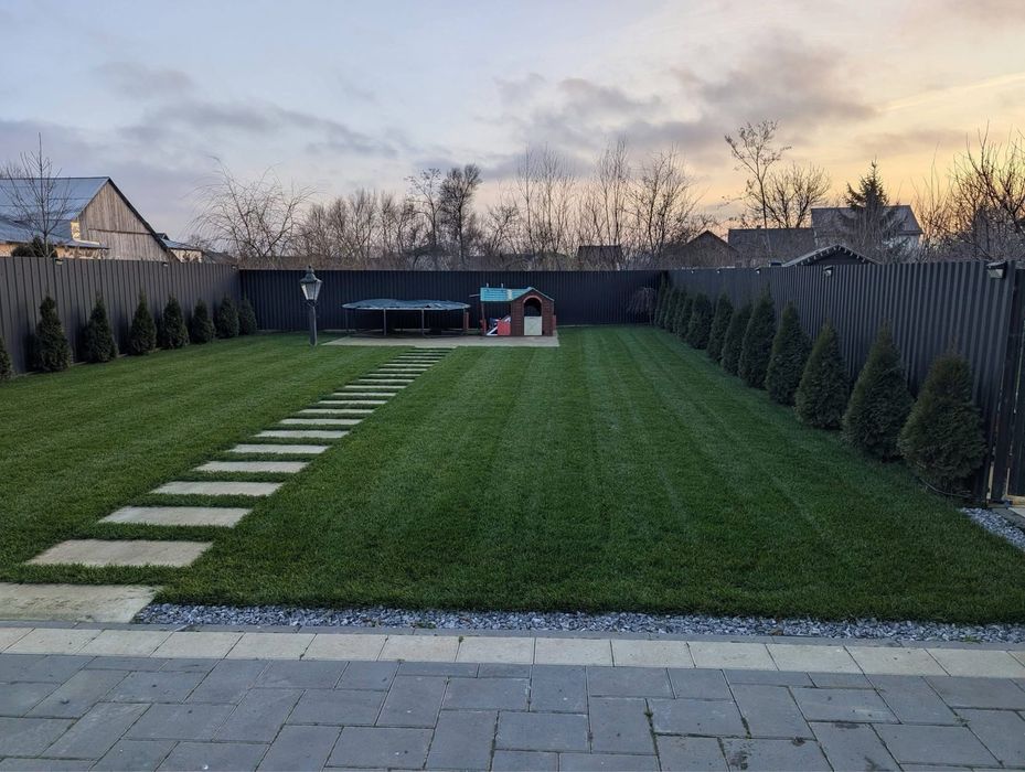 Gazon rulou natural calitate superioara