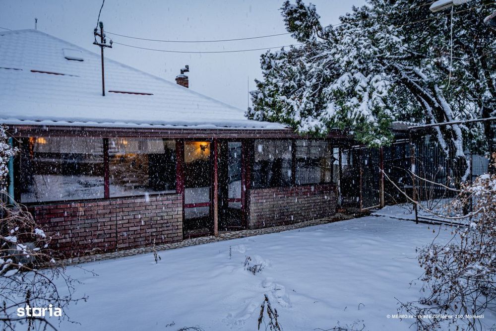 Zorilor 210. Casa ta, langa Judecatorie