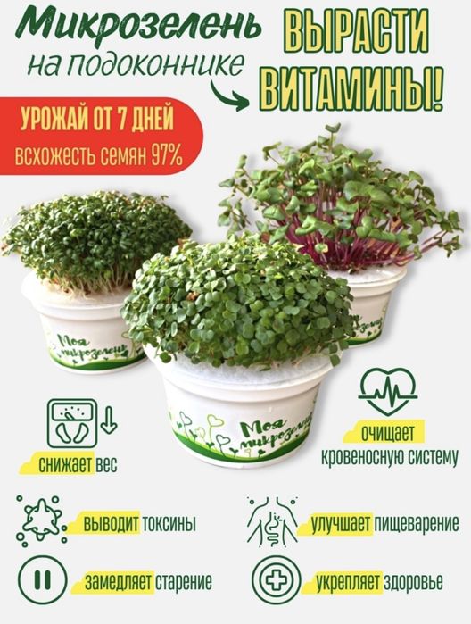Набор для выращивания Микрозелени 4 вида. Готовое решение