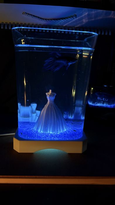 MOON & FISH  Аквариумы + рибки