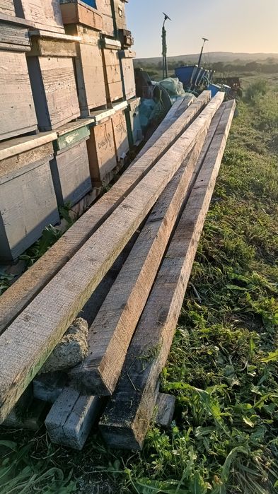 Lăzi albine, stupi, 10 rame