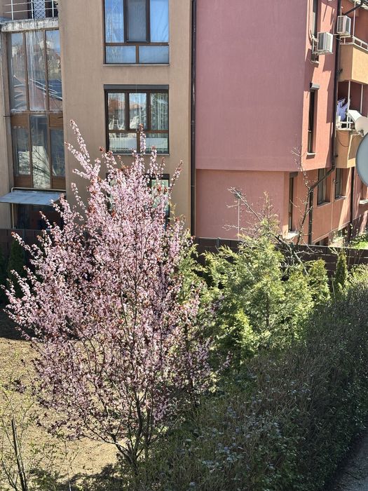 Двустаен апартамент до НБУ