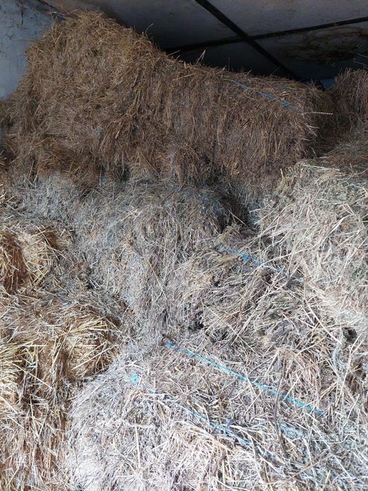 Vând baloți de fân