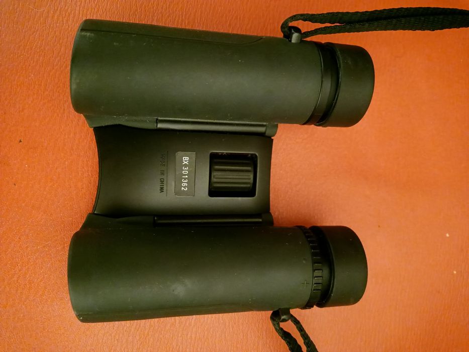 Binoclu Canon 8 x 25 IS/Nikon SportStar EX
• Magnificare: 8x
• Diametr