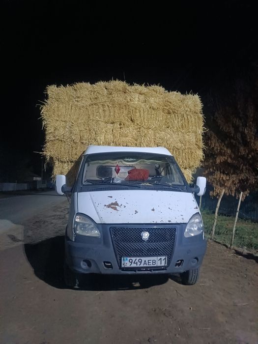 Бау қамыс сабан прес бар 300 тг