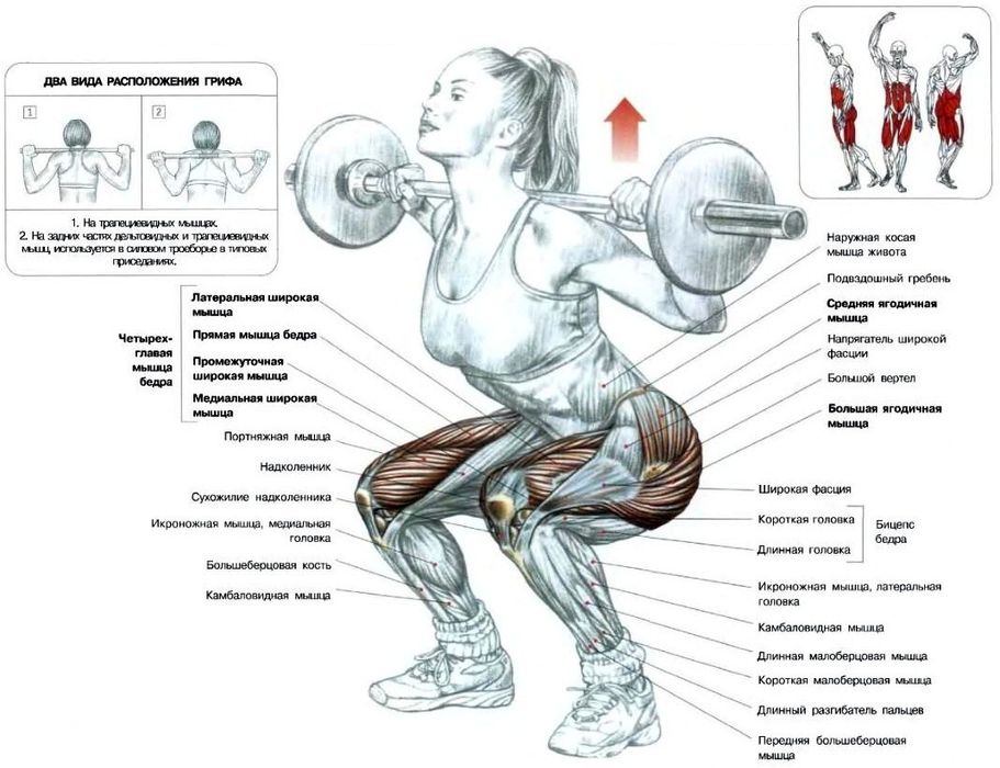 Оформление фитнес-клубов и спортзалов, картины постеры, плакаты, принт