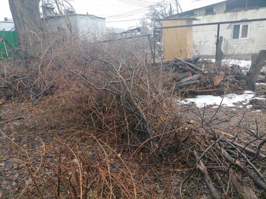 отдам дрова. Самовывоз