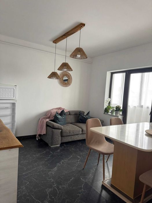 dumbravita - apartament o camera
