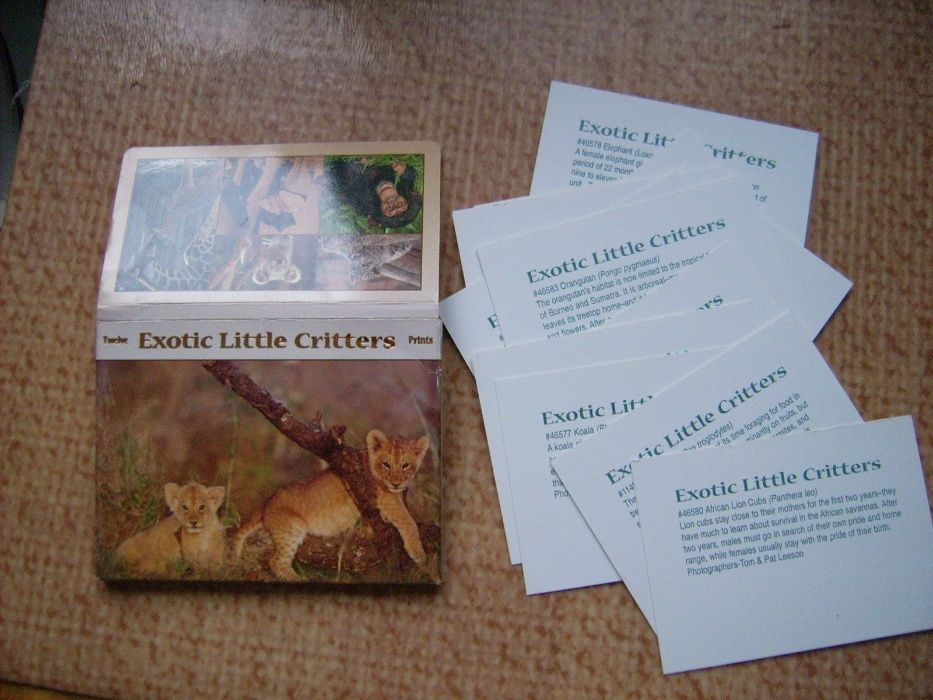 Лот от миникартички и картички с животни