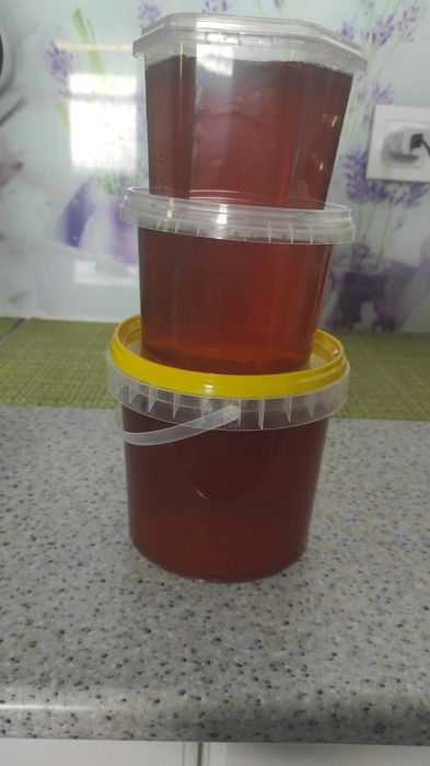 Продам мёд лесной