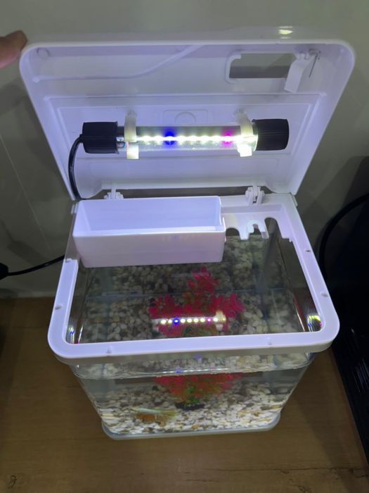 Аквариум 5л дайын
