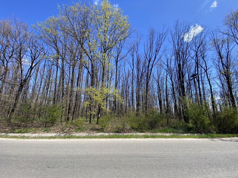 Teren de vis langa Pitesti