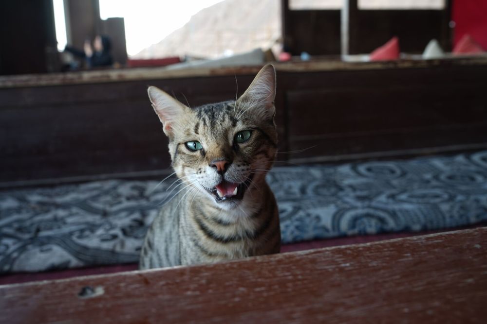 Sony A7 - Отлично Състояние на 20к Клика, Отлично Състояние