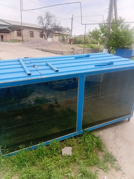 Акварум балик сотиш учун