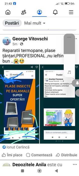 plase țânțari , reparatii termopane
