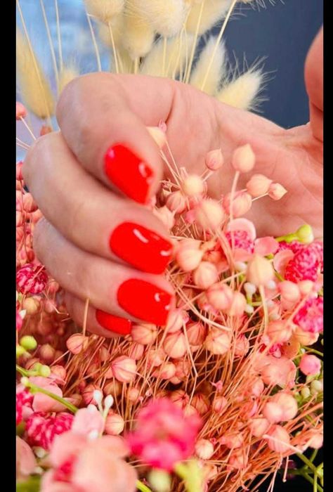 Servicii mani/pedi