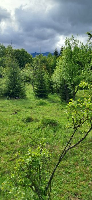 Teren intravilan