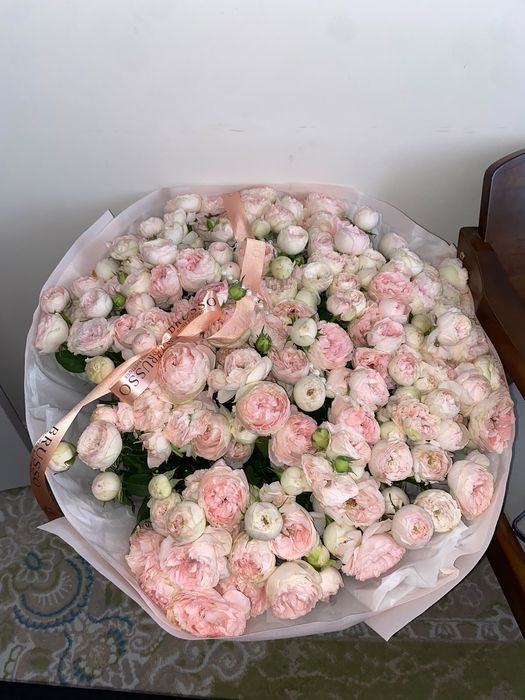 Продам цветок бу свежый