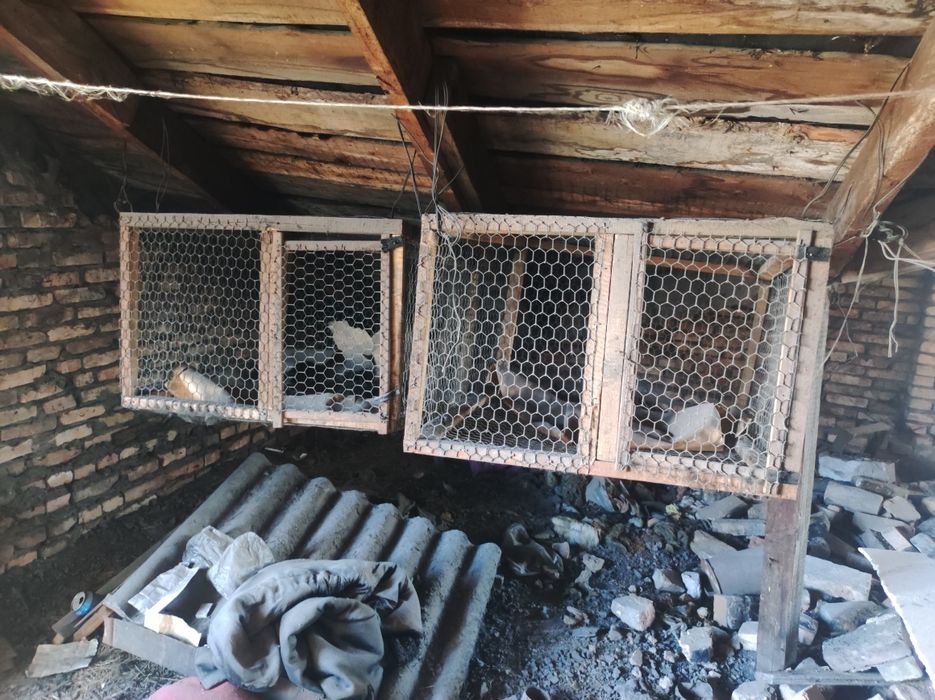 Клетки для кроликов, курей - Козы Нуркен на Olx