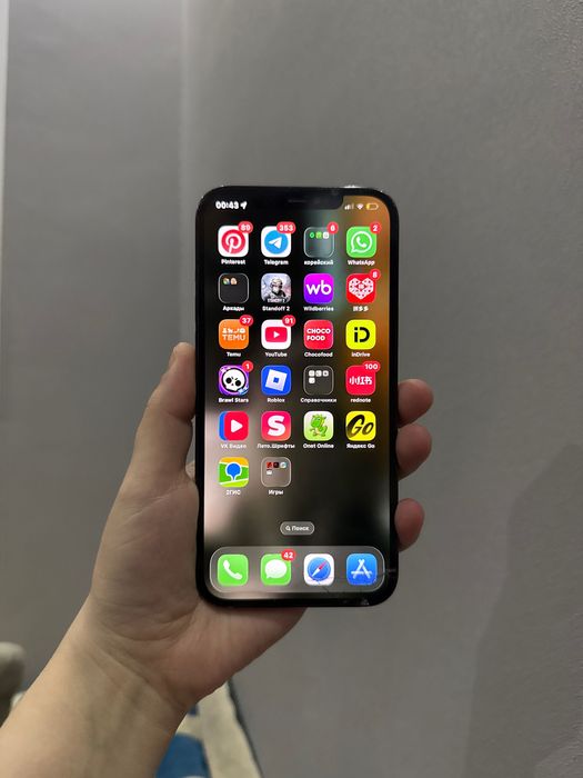iPhone 12 PRO MAX