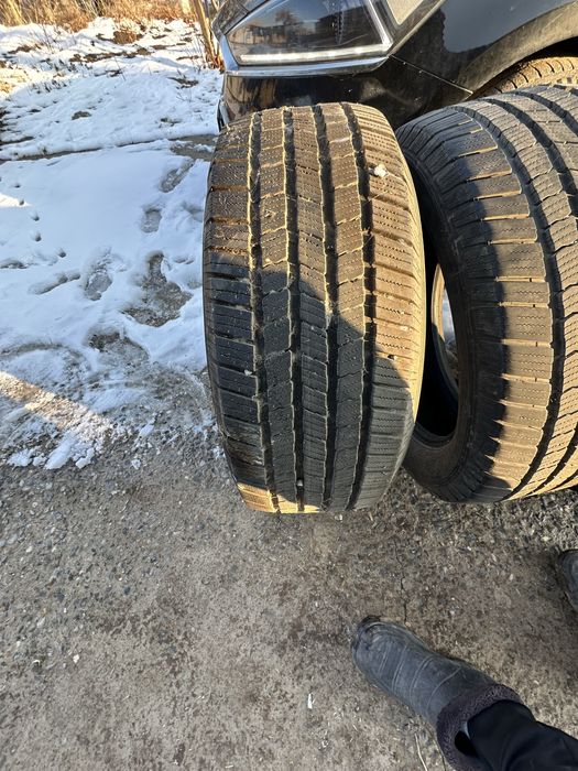 Мишлен зимный балон