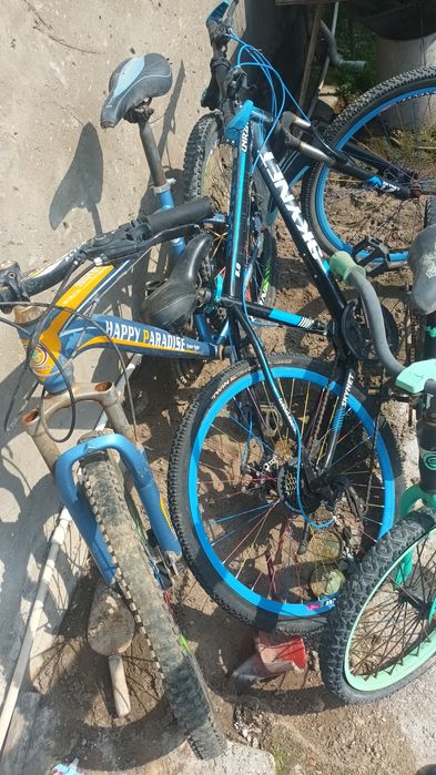 Велик сотилади нархи келшилган холатда пашти янги