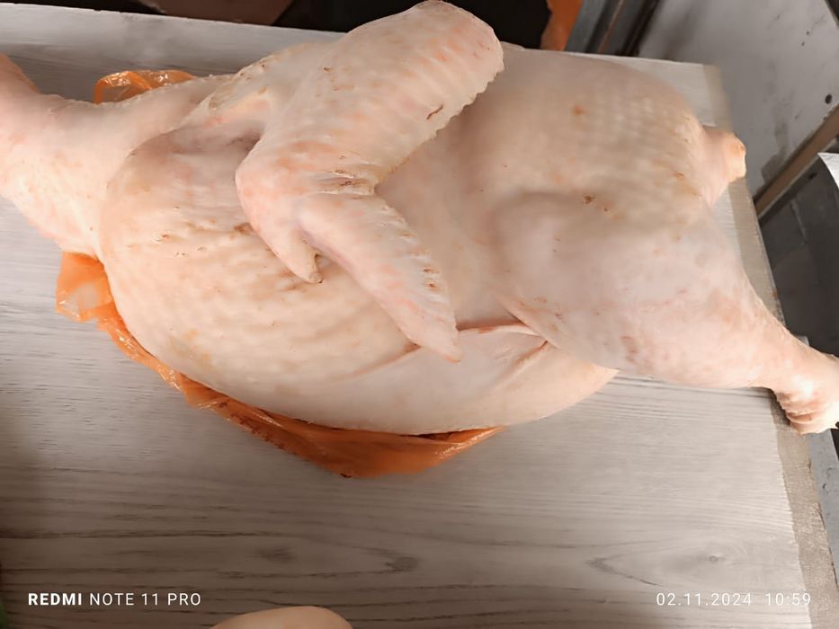 Тушки гусей, уток, индюков, курочек