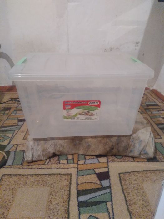 Контейнер новый 45-50 литров продам за 7000 тысяч.