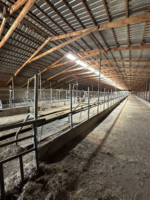 Продам крестьянское хозяйство фазенду