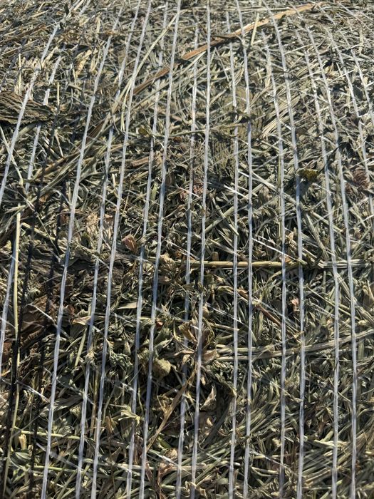 Baloti lucerna coasa 3