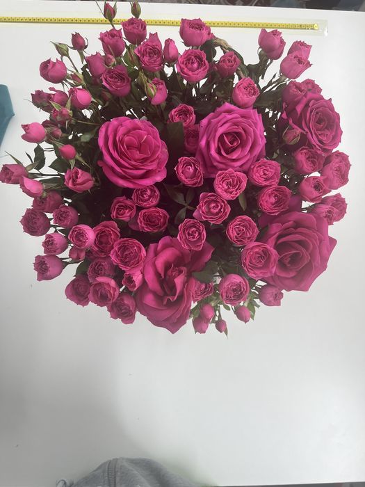 Цветы кустовые розы