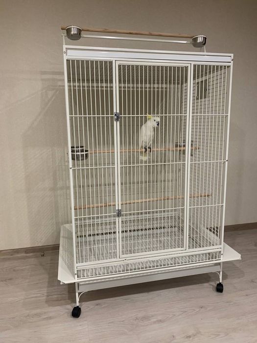 Клетки для птиц [попугаев]
