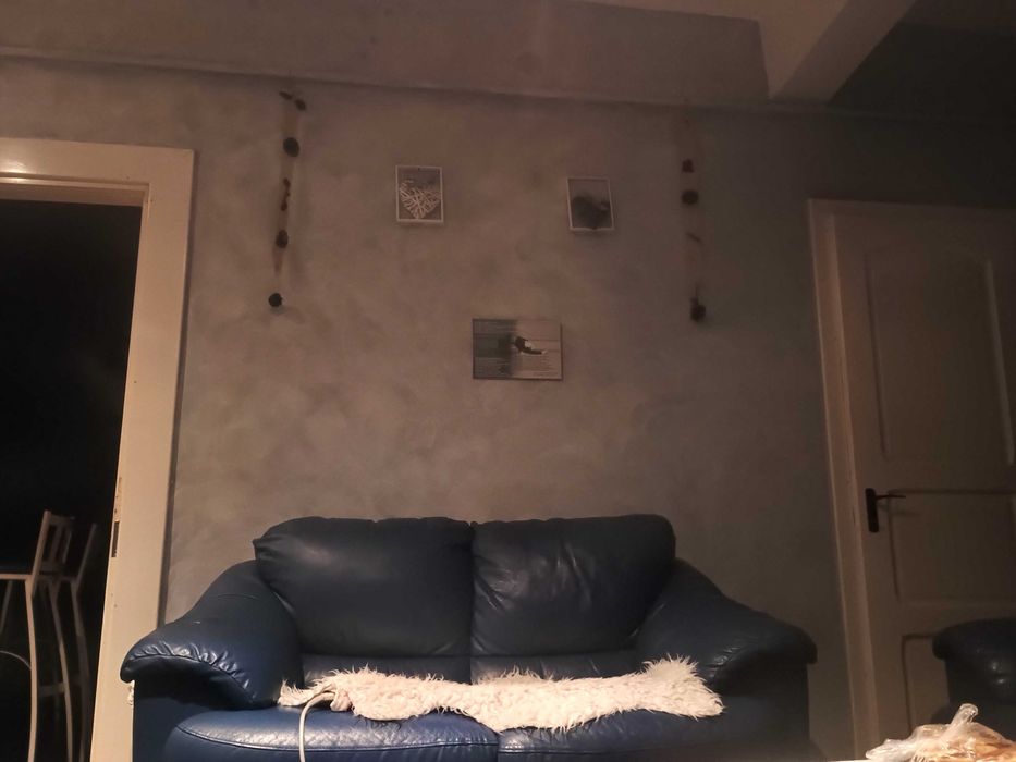 De inchiriat casa particular.