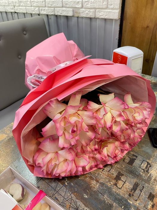 Свежый гул сатамын