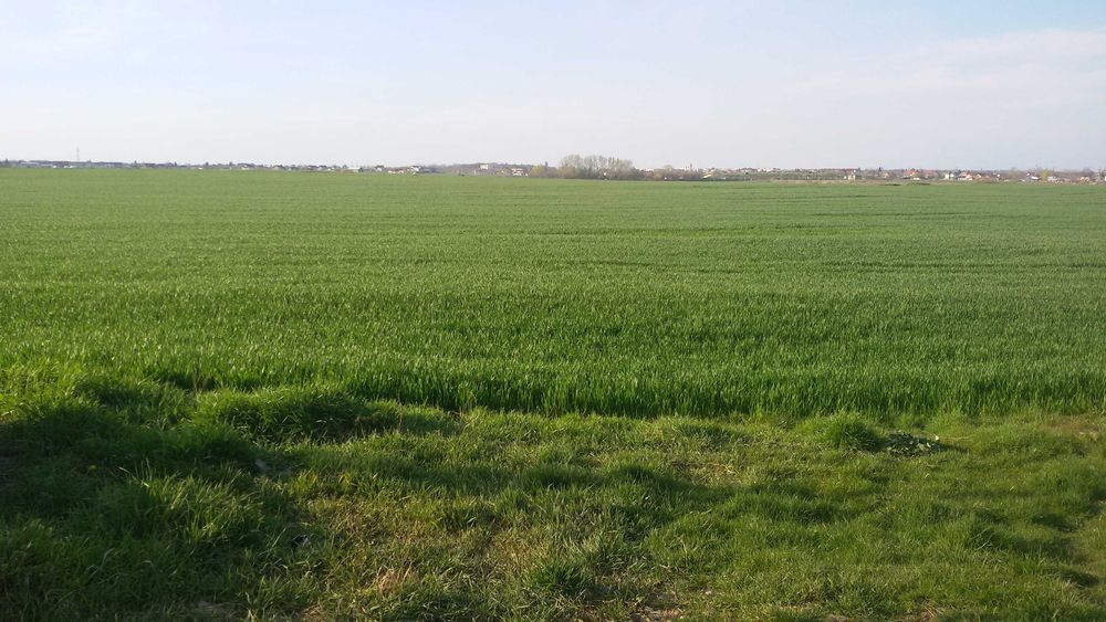 Teren 800mp Buftea – zonă mixtă, zona Str. Milano