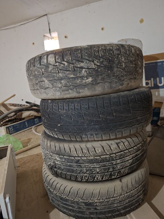 Зимние шины Cordiant