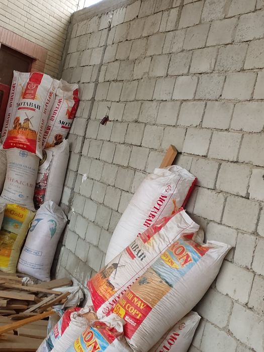 Апилка Арраники тоза курук